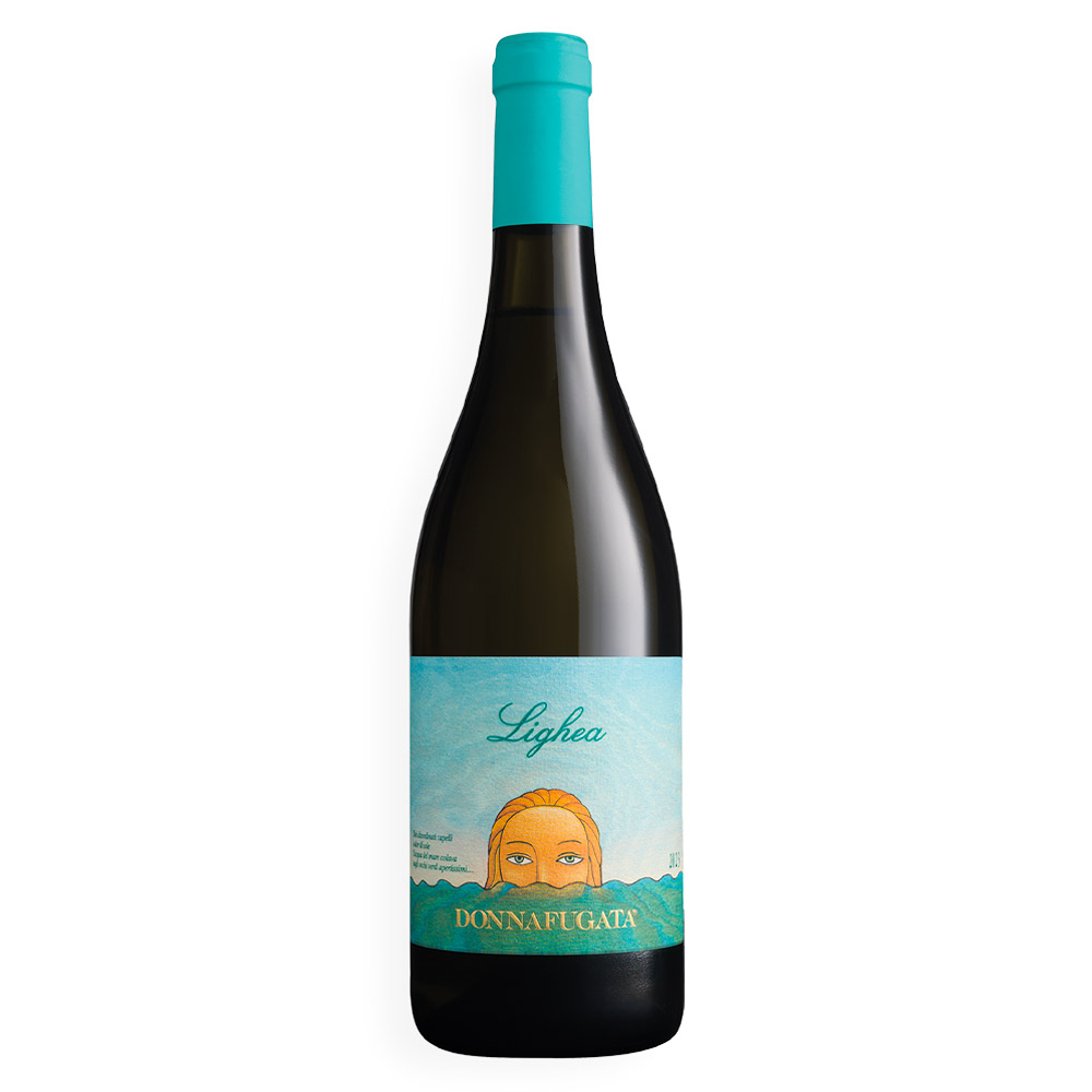 Donnafugata Lighea Sicilia DOC Zibibbo ha un colore giallo paglierino brillante, con lievi riflessi verdolini. Al naso offre un bouquet ricco e fragrante, dove, alle classiche note di zagara, si uniscono sentori agrumati di cedro e bergamotto e frutta esotica come come il litchi. Al palato risulta di beva estremamente scorrevole, nel quale ritornano le note floreali e fruttate, accompagnate da una spiccata freschezza. Chiude con un finale piacevolmente persistente, con un'interessante vena minerale. Lighea è un classico di Donnafugata, un bianco prodotto dal 1990, apprezzato in tutto il mondo per la sua grande espressività. La sua fresca aromaticità esprime con semplicità e leggerezza i sapori e i profumi dell'isola di Pantelleria, dove nasce il nobile Zibibbo, chiamato anche Moscato d'Alessandria.Fa parte della collezione “Versatili e di Carattere” di Donnafugata, vini piacevoli dall’animo siciliano. Da bere quando lo si desidera, rappresenta un piccolo “lusso quotidiano”. “Dai disordinati capelli color di sole l’acqua del mare colava sugli occhi verdi apertissimi”... così Giuseppe Tomasi di Lampedusa descrive Lighea, l’ammaliante sirena personaggio centrale di un suo racconto che ha dato spunto ad un vino complesso ed innovativo e ad una etichetta altrettanto originale. “Non è stato facile - racconta Gabriella, fondatrice di Donnafugata insieme al marito Giacomo - stampare quest’etichetta e conservare le mille sfumature dei colori dell’isola, ritratti nel bozzetto originale”. Con l'annata 2023, Donnafugata riconferma il suo impegno per la sostenibilità adottando la bottiglia Cento per Cento Sicilia e il tappo Nomacorc Ocean, ottenuto da plastiche riciclate raccolte nelle zone costiere. La bottiglia borgognotta ha il vantaggio di essere più leggera (410g) ed è prodotta in Sicilia con vetro riciclato, secondo il modello di economia circolare promosso dalla Fondazione SOStain e messo in pratica dalla vetreria O-I Glass. L'etichetta di Lighea è stata inoltre oggetto di restyling: le sfumature del tramonto hanno lasciato spazio a quelle dell'alba pantesca, esprimendo la personalità di questo vino grazie allo sguardo ammaliante della sirena. 