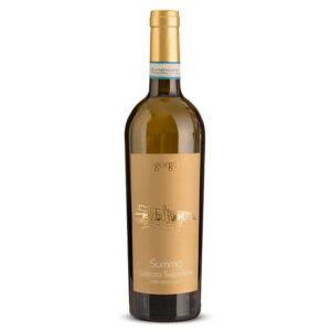 Gorgo Summa Custoza DOC Superiore si presenta con un colore giallo paglierino intenso tendente all'oro. Al naso spiccano profumi mediterranei che ricordano fiori d'arancio, rose e gelsomino, frutti tropicali maturi e pesca per evolvere poi verso una parte vanigliata. Al palato risulta ampio, vivace e particolarmente sapido e minerali, con una morbidezza sostenuta dalla freschezza. Di grande eleganza, chiude con un finale di ottima persistenza, con notevoli richiami aromatici, soprattutto di frutta tropicale. Il Custoza Superiore Summa, prodotto dalla cantina Gorgo, è un tributo ai vigneti storici aziendali siti in Sommacampagna, che interpretano ed esprimono con grande vigore tutte le caratteristiche del Custoza Superiore. La vendemmia è tardiva e si protrae verso la seconda settimana di Ottobre, per ottenere una maggiore maturazione fenolica, concentrando quindi zuccheri e aromi. Nasce da uve Garganega, Cortese (Bianca Fernanda) e altre varietà a bacca bianca consentite dal disciplinare, tutte coltivate in regime Biologico. Risulta infatti essere un bianco di buona complessità e di grande vocazione gastronomica, caratterizzato da continui richiami fruttati, sapidi e aromatici. Il tempo, soprattutto in questa versione "superiore", gli permetterà di evolvere, esprimendo con determinazione la piena struttura e le note minerali.