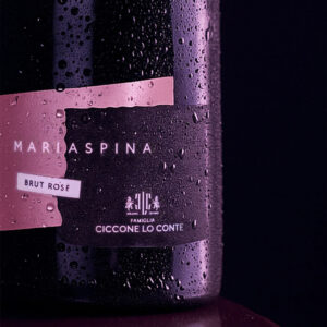 Mariaspina Brut Rosé si presenta di colore rosso ciliegia brillante, con un perlage fine e persistente. Al naso è immediato e invitante, con frutto succoso e fragrante, accompagnato da una delicata sfumatura floreale. Al palato risulta uno spumante di grande struttura, equilibrato, armonico e sostenuto da una bella acidità che regala freschezza e scorrevolezza, chiudendo su piacevoli ritorni fruttati. Prodotto in sole 2666 bottiglie numerate per l’annata in corso, questo Spumante Brut Rosé nasce da uve Aglianico in purezza, ottenute da vigne situate ad Ariano Irpino (AV). La varietà Aglianico regala grande struttura e complessità.