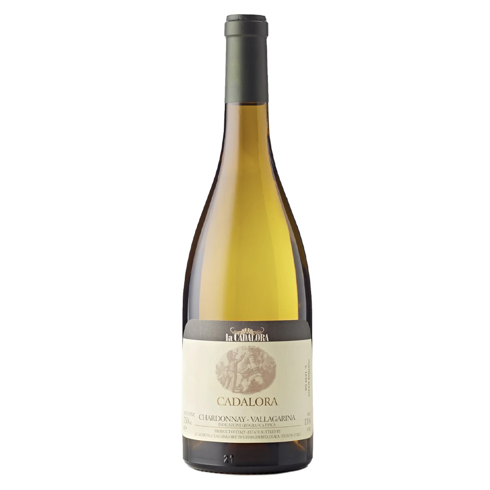 Lo Chardonnay Selezione Cadalora Vallagarina IGT di La Cadalora si presenta nel calice di un colore giallo paglierino intenso con luminosi riflessi dorati. Al naso colpisce per la sua complessità aromatica: offre profumi evoluti che ricordano la crosta di pane e il fieno di montagna, accompagnati da note di frutta gialla matura. Al palato si rivela rotondo e avvolgente, con un caratteristico tocco finale che ricorda il miele; nonostante questa morbidezza, il sorso rimane decisamente secco, mediamente agrumato ed equilibrato, sostenuto da una buona struttura e una notevole persistenza. - Questo bianco di carattere nasce esclusivamente nel cru "Cadalora", un piccolo vigneto di mezzo ettaro situato su suoli calcarei e sassosi. La cura in vigna è meticolosa, con vendemmia manuale e selezione delle uve. La vinificazione segue un metodo tradizionale in bianco che ne esalta la struttura: fermentazione a temperatura controllata in barriques di rovere francese usate, seguita da un affinamento di 12 mesi negli stessi legni e un ulteriore riposo di un anno in bottiglia prima della commercializzazione. Uno Chardonnay capace di una sorprendente longevità, regge perfettamente l'invecchiamento per 7-8 anni, evolvendo e migliorando nel tempo. - La produzione annuale si aggira intorno alle 5.000 bottiglie.